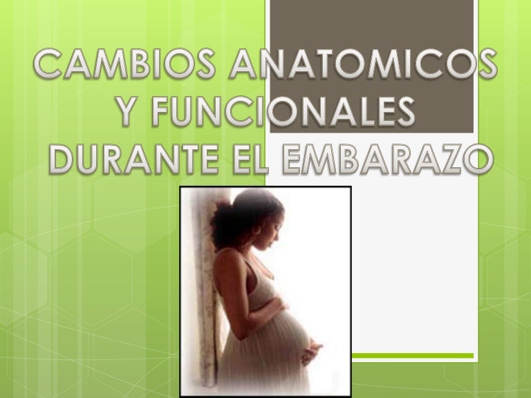 Cambios anatomicos y fisiologicos en el embarazo por trimestre